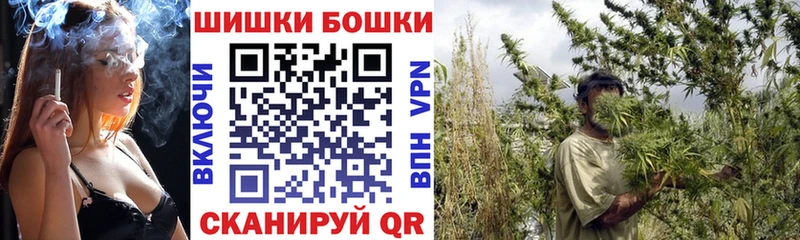 хочу наркоту  Новоузенск  Каннабис тримм 